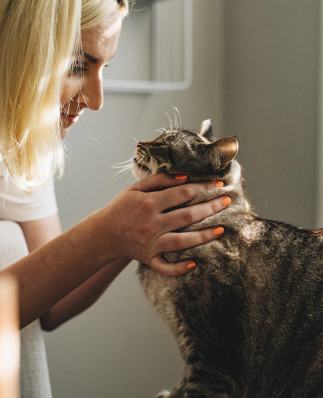 Mulher fazendo carinho no rosto de um gato